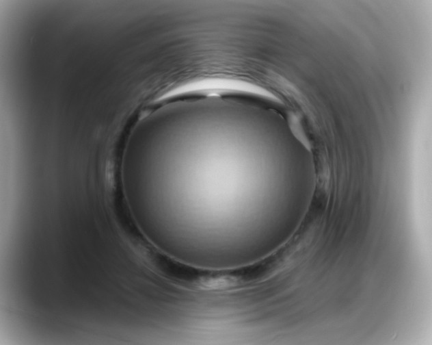 X0000088380452200706051102