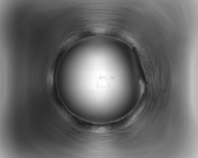 X0000088380454200706051102