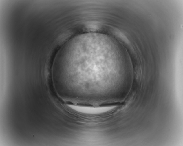 X0000088380455200706051102
