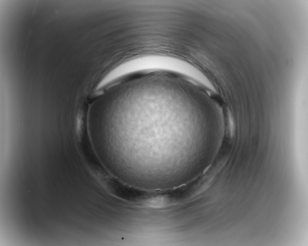 X0000088380456200706051102