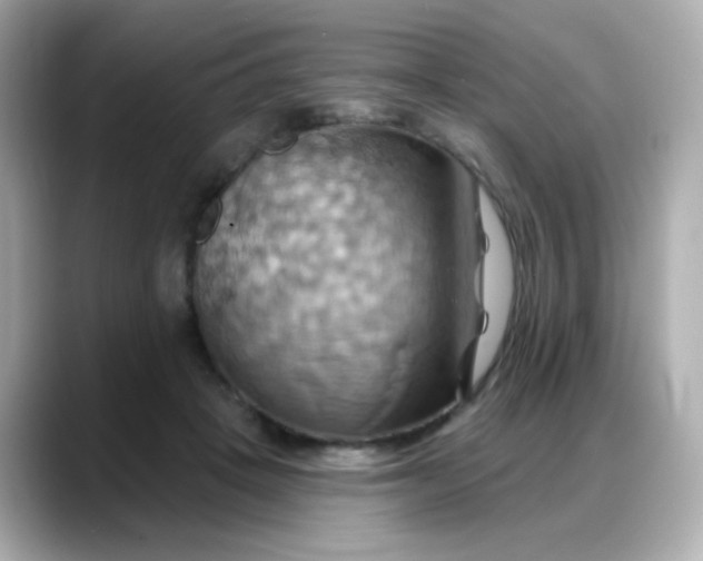 X0000088380457200706051102