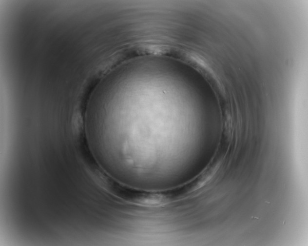 X0000088380459200706051102