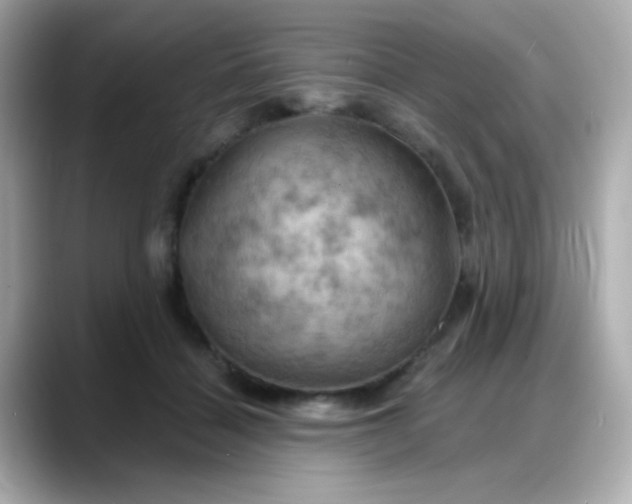 X0000088380460200706051102