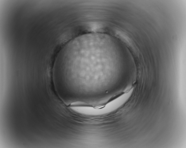 X0000088380461200706051102