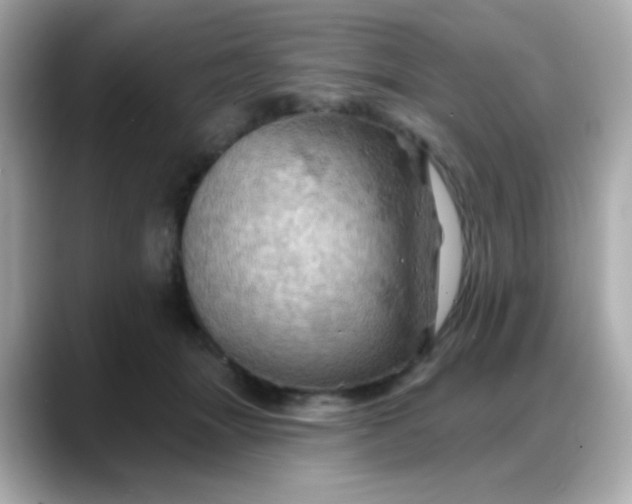 X0000088380463200706051102