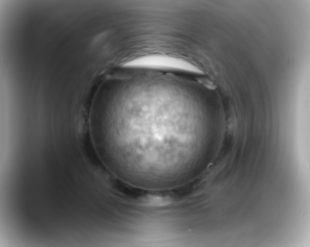X0000088380464200706051102