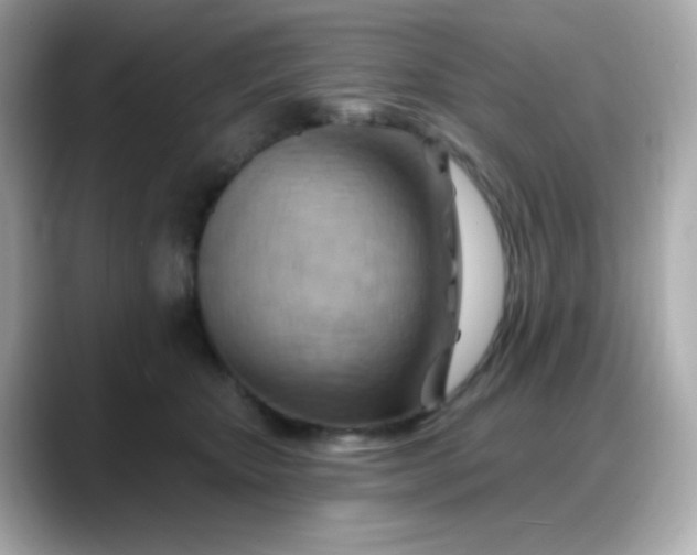 X0000088380467200706051103