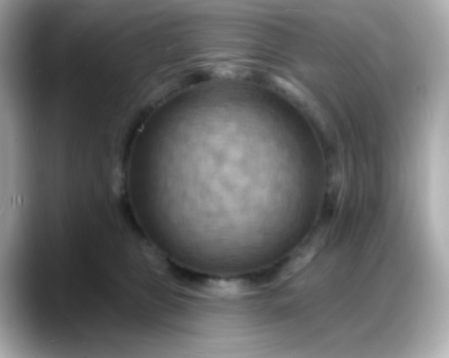 X0000088380469200706051103