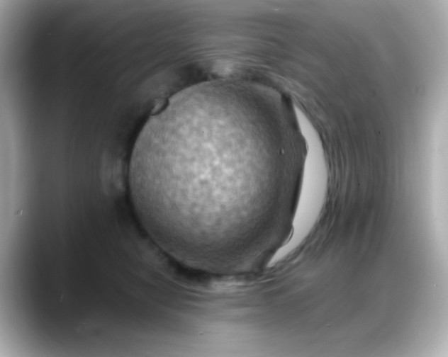 X0000088380470200706051103