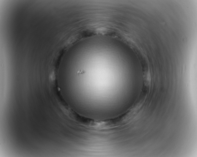 X0000088380472200706051103