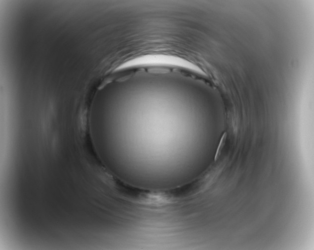 X0000088380475200706051103