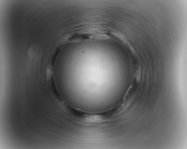 X0000088380476200706051103
