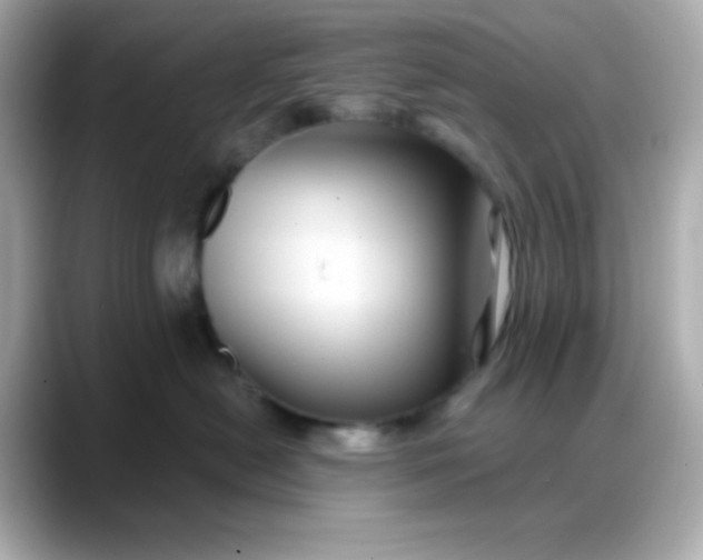 X0000088380478200706051103
