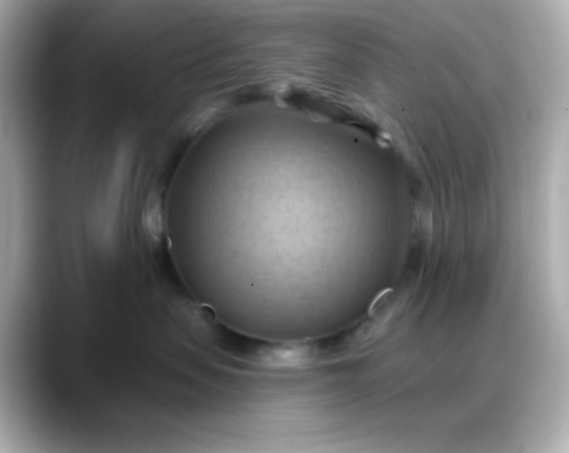 X0000088380479200706051103