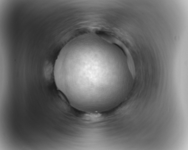 X0000088380480200706051103