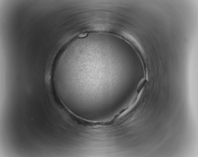 X0000088380483200706051102