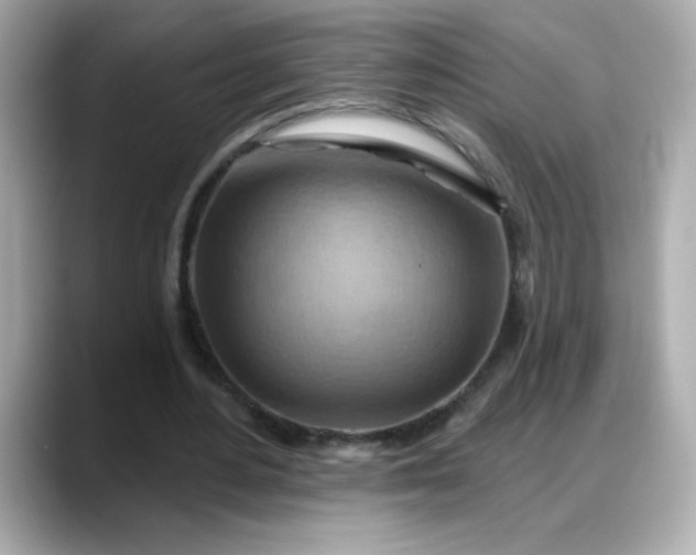 X0000088380484200706051102