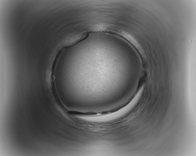X0000088380485200706051102
