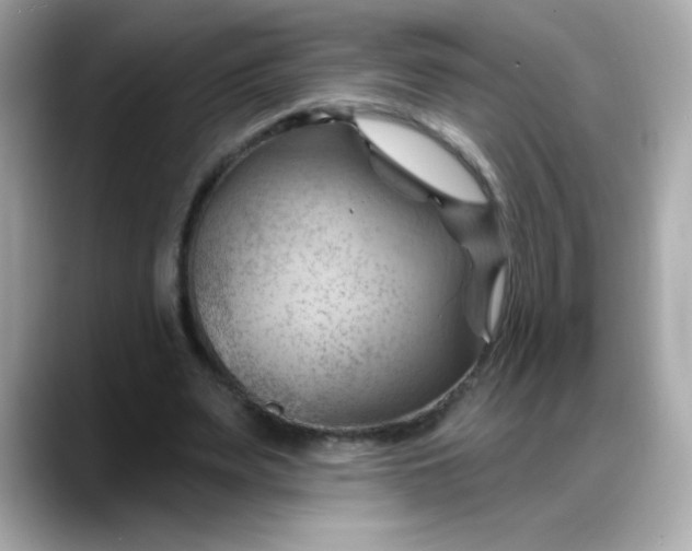 X0000088380487200706051102