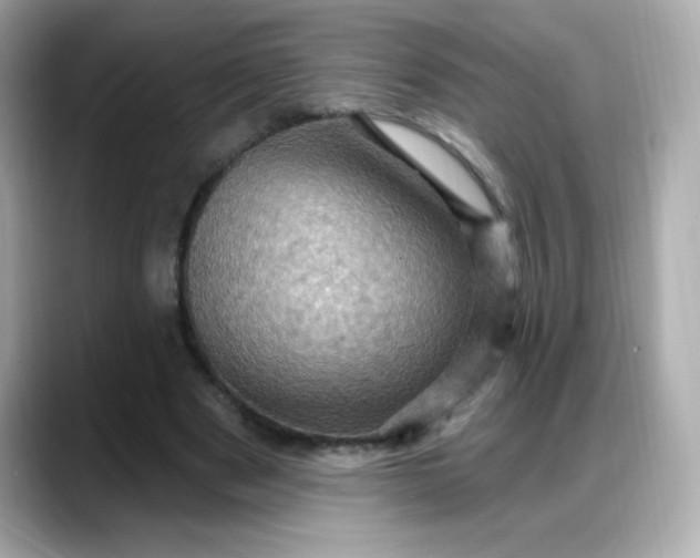 X0000088380489200706051102