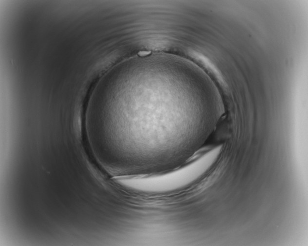 X0000088380493200706051102