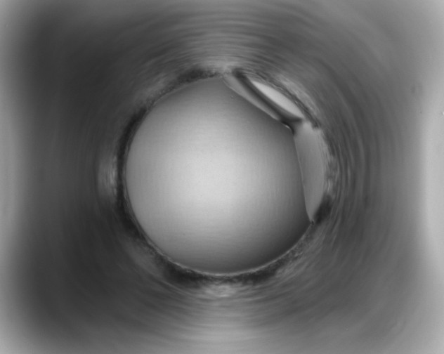 X0000088380494200706051102