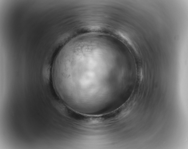 X0000088380495200706051102