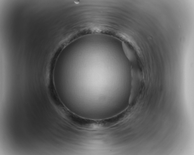 X0000088380496200706051102