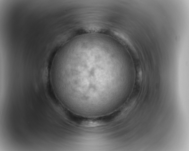 X0000088380498200706051102