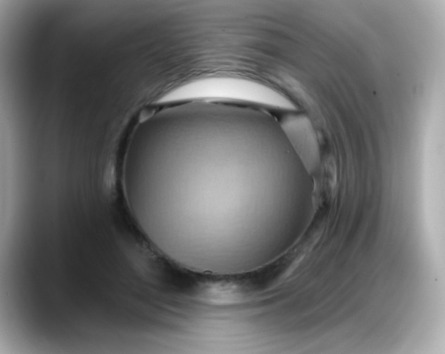 X0000088380500200706051102
