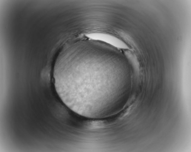 X0000088380501200706051102