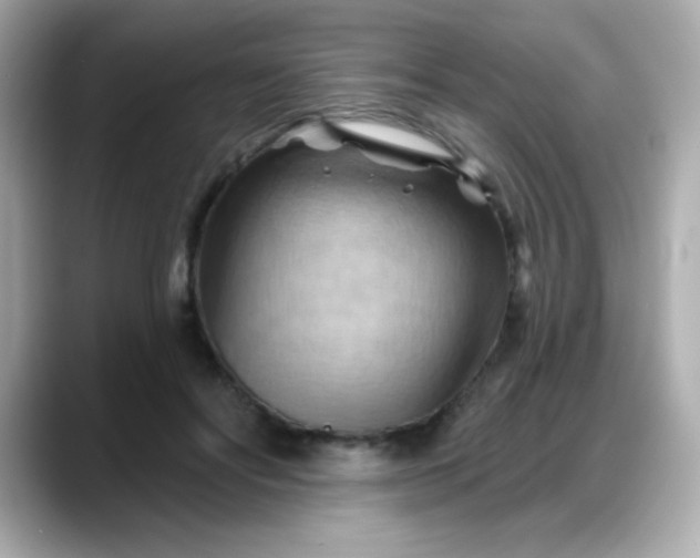 X0000088380502200706051102