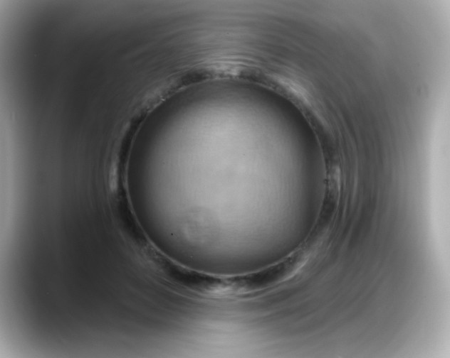 X0000088380504200706051102