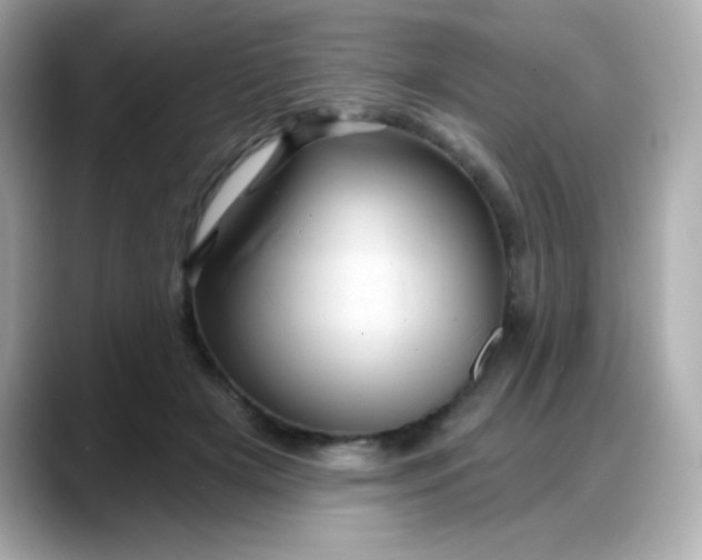 X0000088380505200706051102