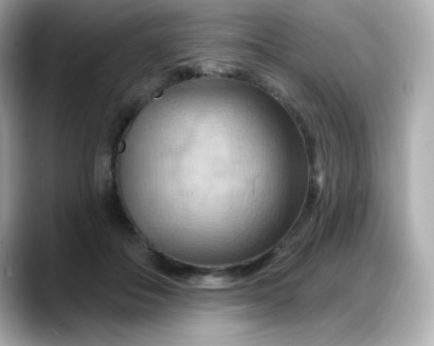 X0000088380506200706051102