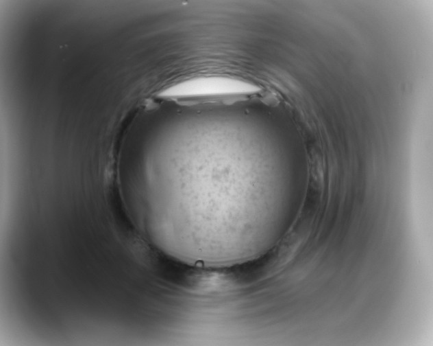 X0000088380507200706051102