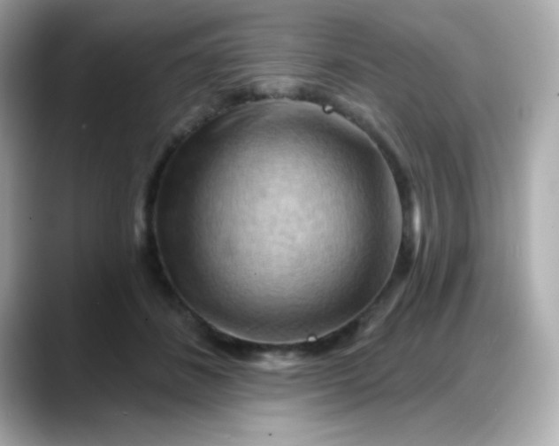 X0000088380508200706051102
