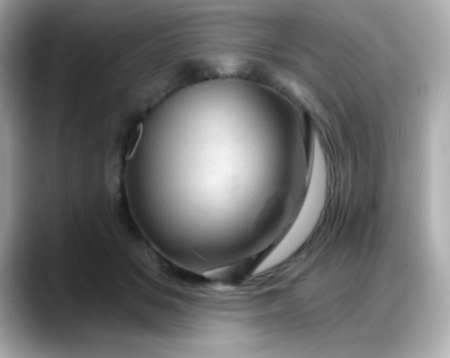 X0000088380509200706051102