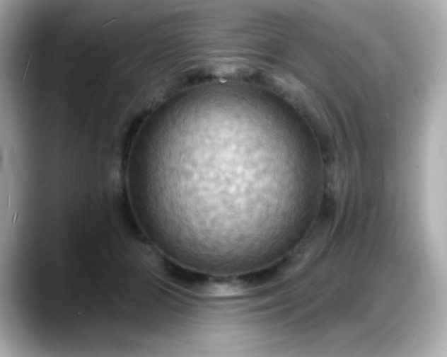 X0000088380510200706051102