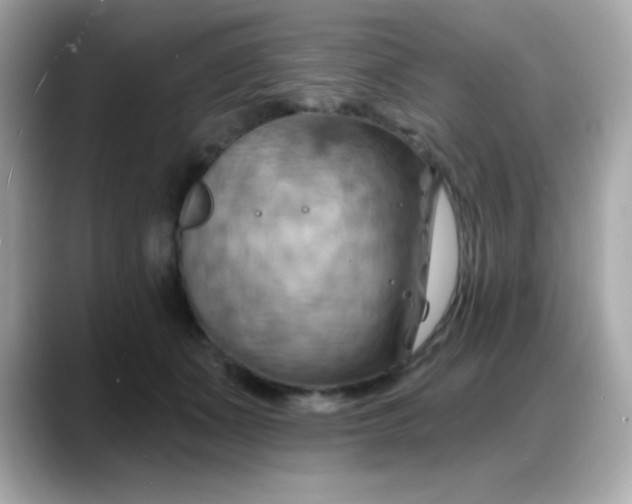 X0000088380511200706051102