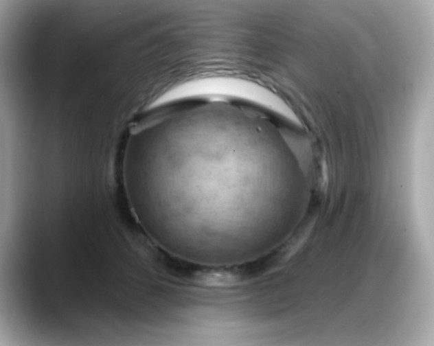 X0000088380512200706051102