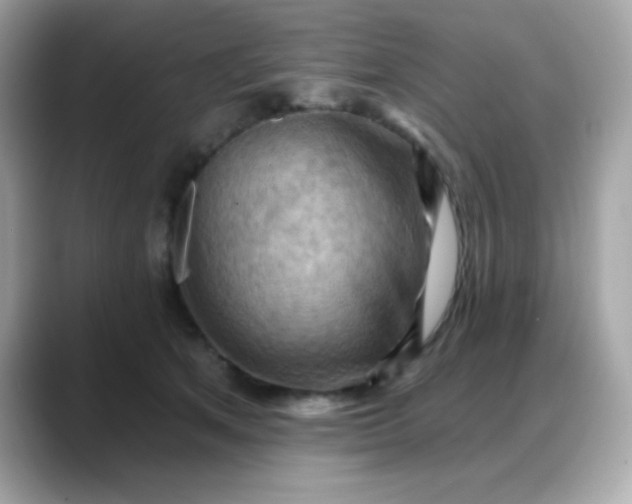 X0000088380513200706051102
