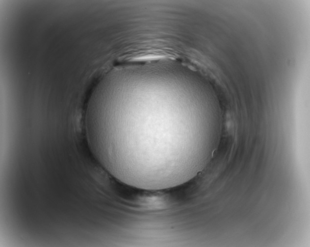 X0000088380514200706051102