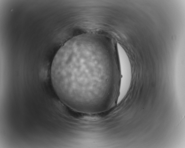 X0000088380515200706051102
