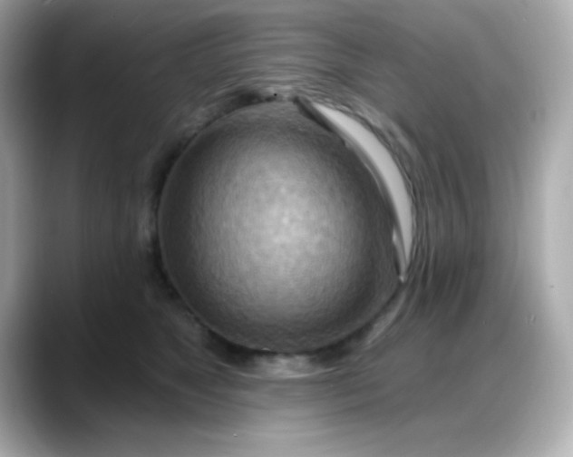 X0000088380517200706051102