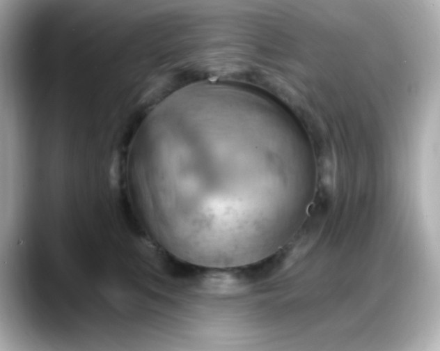 X0000088380519200706051102