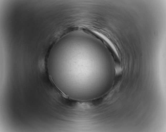 X0000088380520200706051102