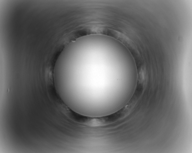 X0000088380522200706051102