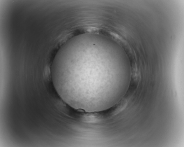 X0000088380523200706051102