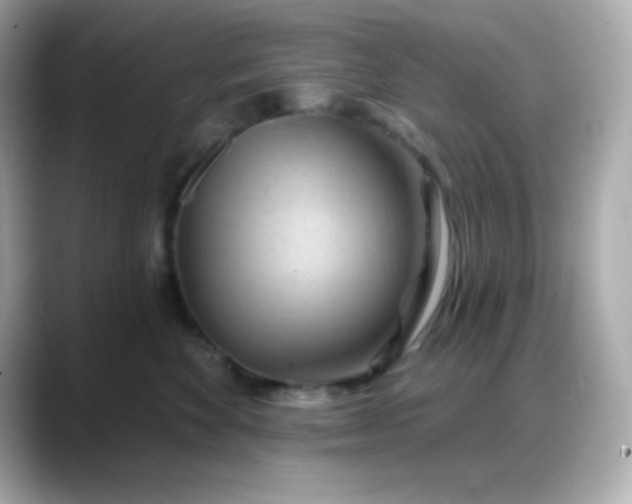 X0000088380524200706051102